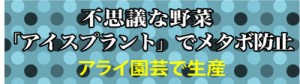 12-07-05-1面見出し