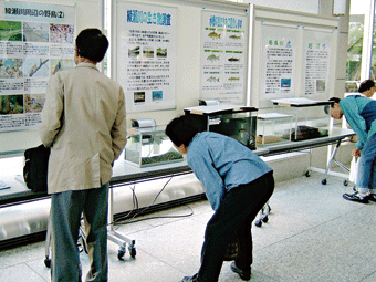 水槽の綾瀬川の魚が関心を集めた