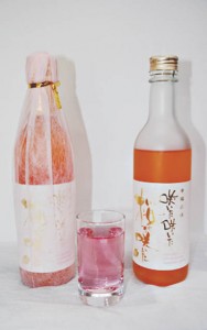 10-04-05東屋本店