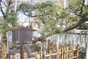 10-4-20神社・松