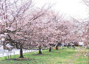 10-04-05江北北部緑道公園