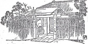 10-10-20さな1 毎日新聞さし絵