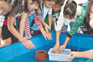 10-11-05お魚教室