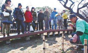 11-02-05大谷田特集-梅まつり