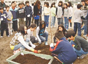 11-03-05宇宙ケヤキ