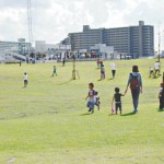 11-05-05新田・公園2