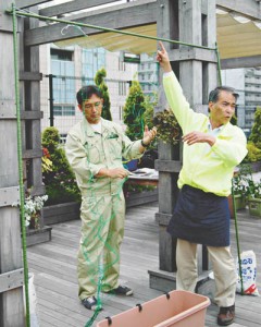 11-06-05 1面 緑のカーテン1