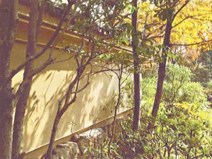 11-10-5あだち散策721