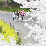 12-03-05綾瀬特集・公園