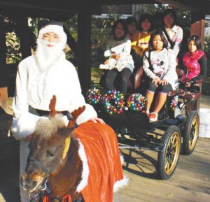 12-12-05生物園 馬車