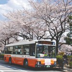 13-04-05花めぐりバス