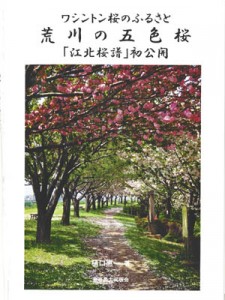 13-05-05桜本