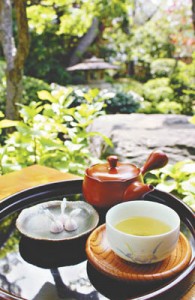 13-05-03新茶のつどい02