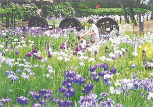 15-06-01あだち散策0001