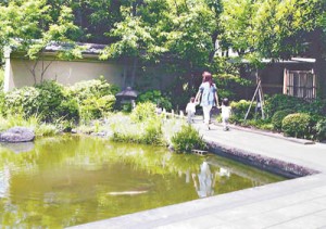 15-07-01あだち散策_0001